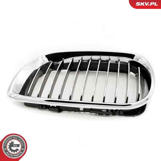 66SKV078 - Radiator Grille 