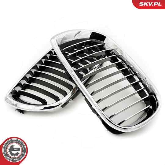 66SKV078 - Radiator Grille 