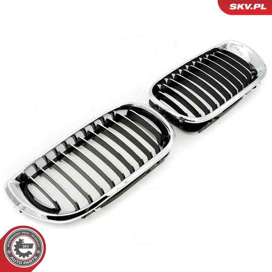 66SKV078 - Radiator Grille 