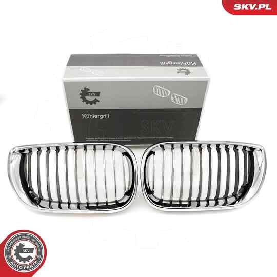 66SKV078 - Radiator Grille 