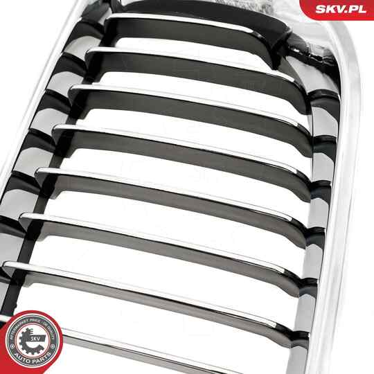 66SKV078 - Radiator Grille 