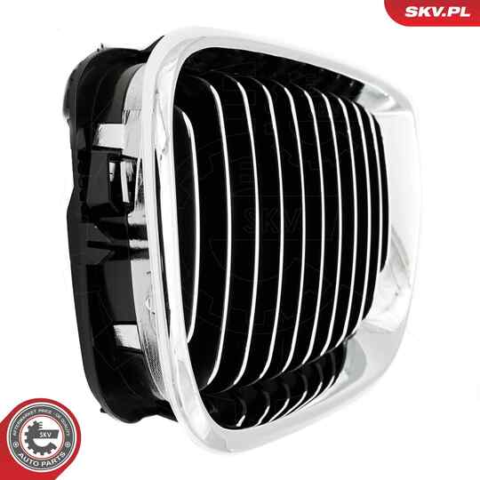 66SKV078 - Radiator Grille 