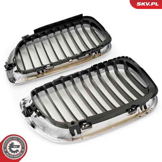 66SKV078 - Radiator Grille 