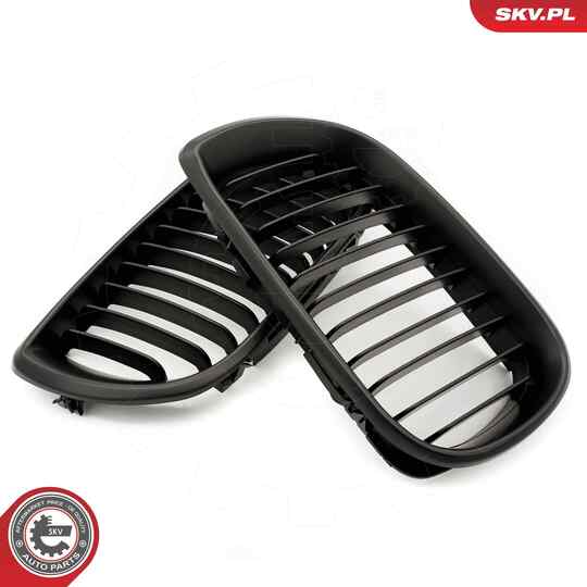 66SKV077 - Radiator Grille 