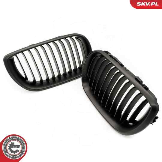 66SKV077 - Radiator Grille 