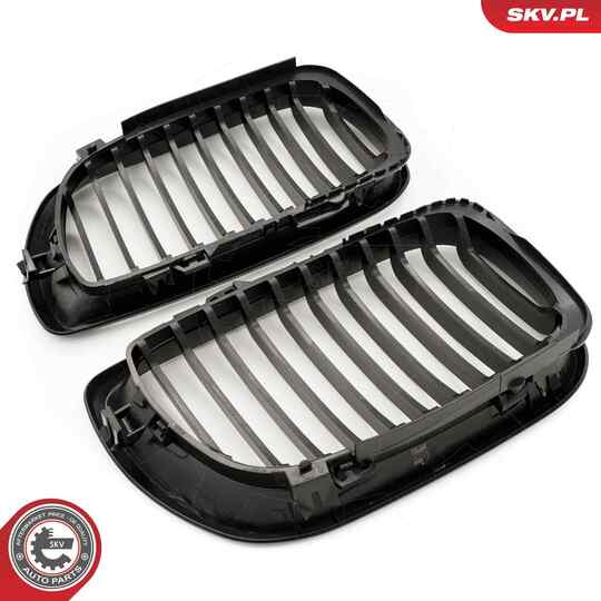 66SKV077 - Radiator Grille 