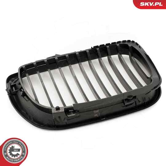 66SKV077 - Radiator Grille 