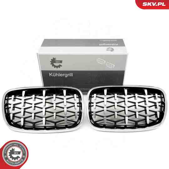 66SKV293 - Radiator Grille 