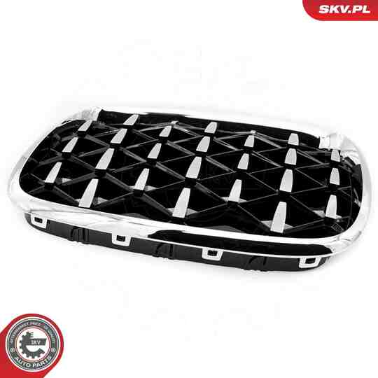 66SKV293 - Radiator Grille 