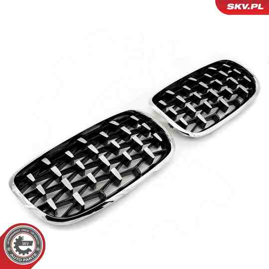 66SKV293 - Radiator Grille 