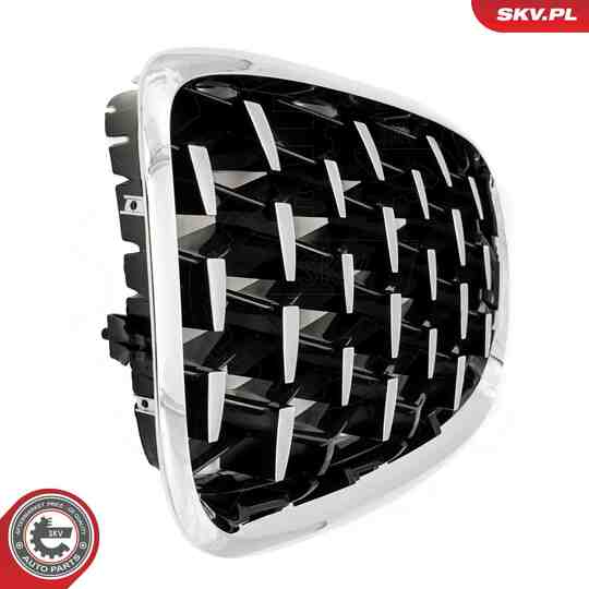 66SKV293 - Radiator Grille 