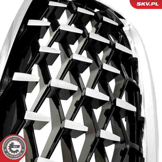 66SKV293 - Radiator Grille 