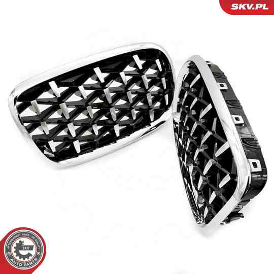 66SKV293 - Radiator Grille 