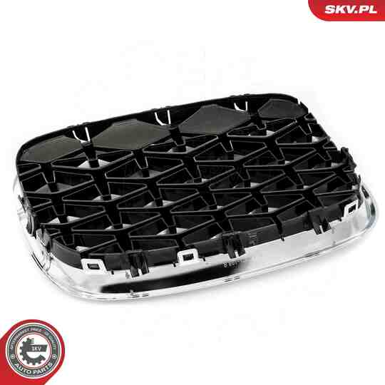 66SKV293 - Radiator Grille 