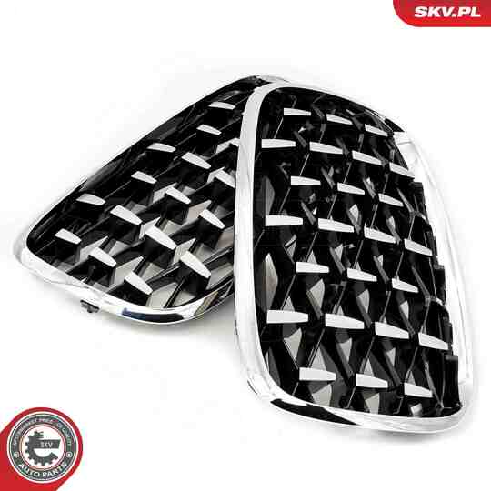 66SKV293 - Radiator Grille 