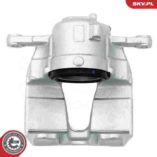 56SKV932 - Brake Caliper 