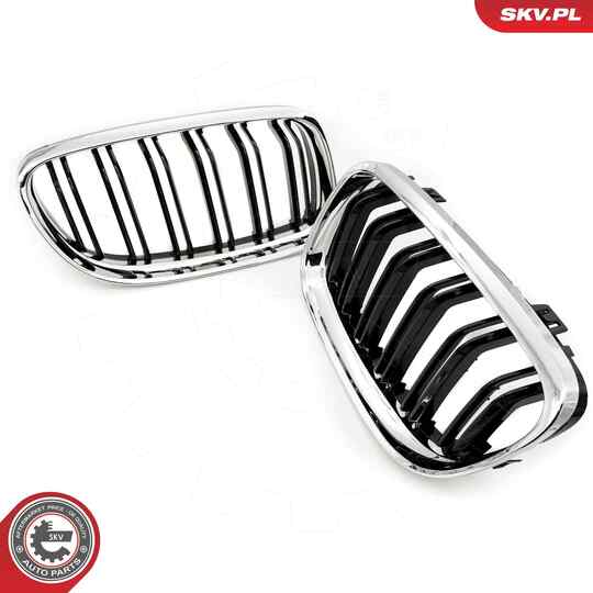 66SKV102 - Radiator Grille 