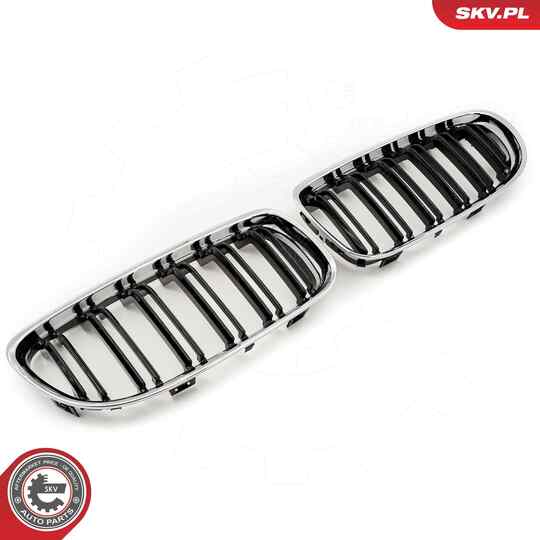 66SKV102 - Radiator Grille 