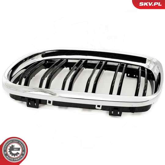 66SKV102 - Radiator Grille 