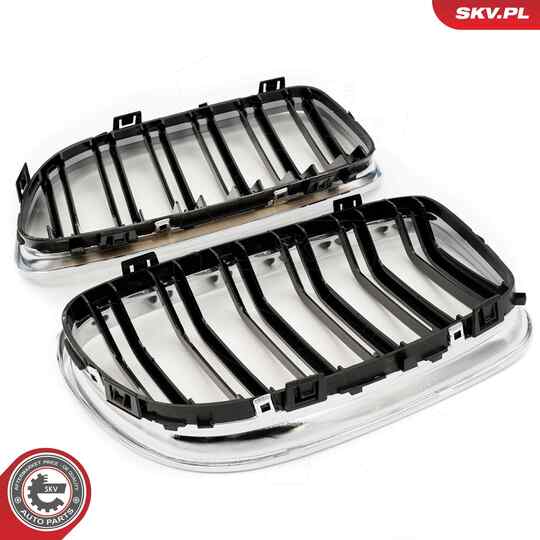 66SKV102 - Radiator Grille 