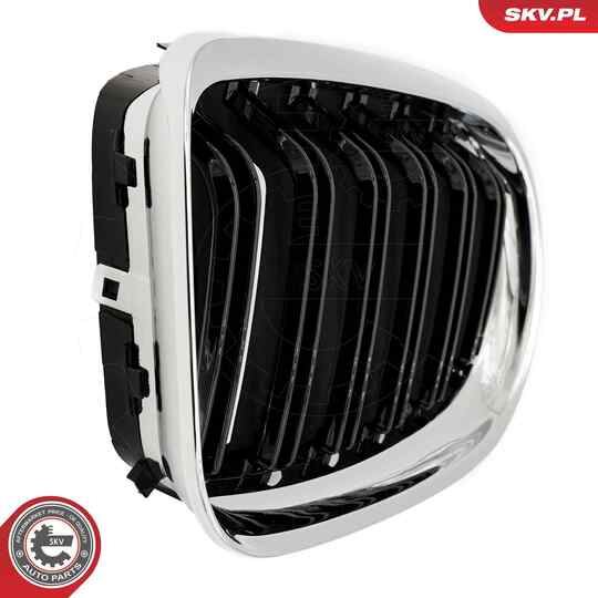 66SKV102 - Radiator Grille 