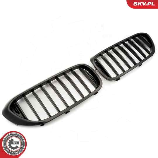 66SKV199 - Radiator Grille 