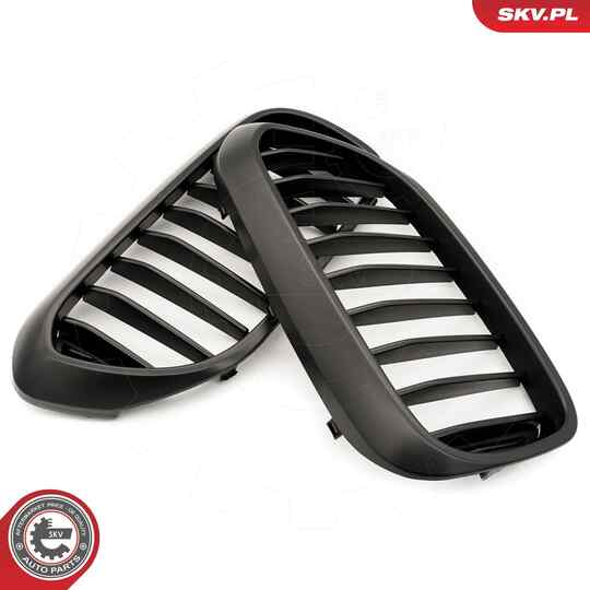 66SKV199 - Radiator Grille 