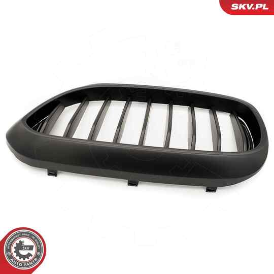 66SKV199 - Radiator Grille 