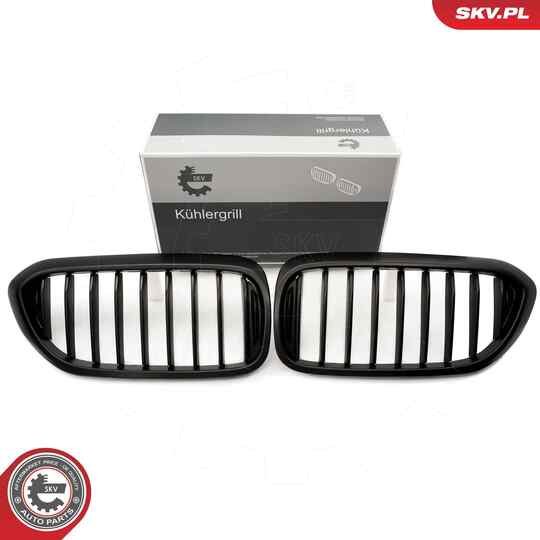 66SKV199 - Radiator Grille 