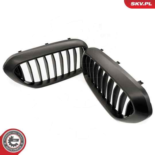 66SKV199 - Radiator Grille 