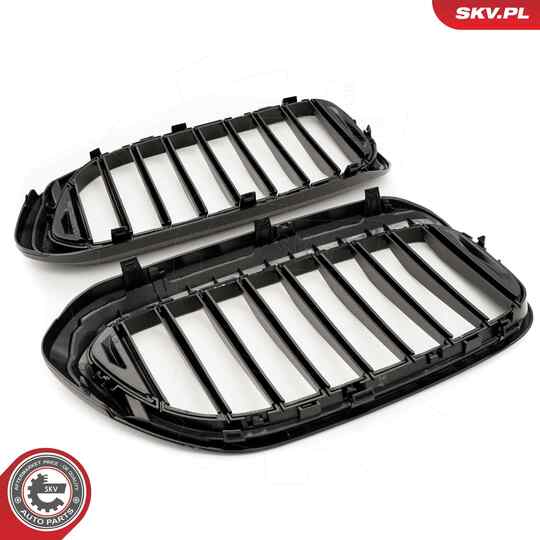 66SKV199 - Radiator Grille 