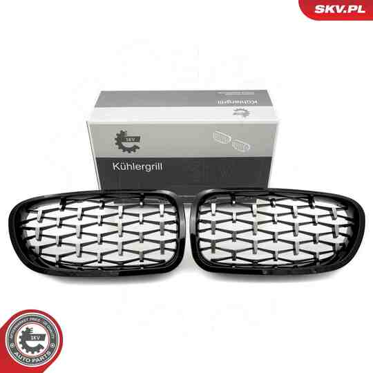 66SKV191 - Radiator Grille 