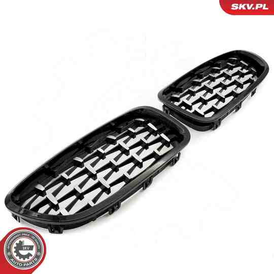 66SKV191 - Radiator Grille 