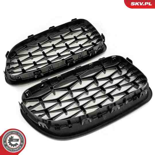 66SKV191 - Radiator Grille 