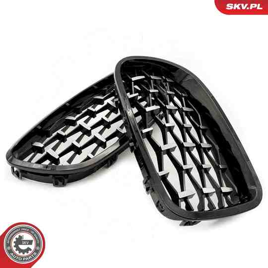 66SKV191 - Radiator Grille 