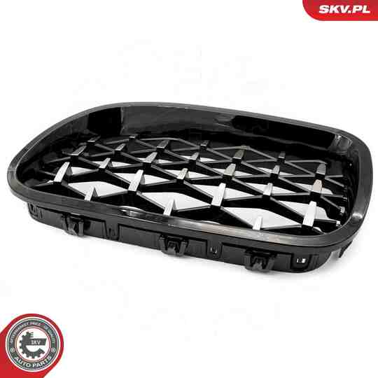 66SKV191 - Radiator Grille 