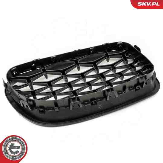 66SKV191 - Radiator Grille 