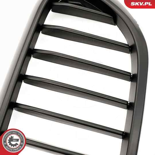 66SKV199 - Radiator Grille 