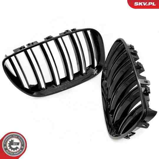 66SKV281 - Radiator Grille 