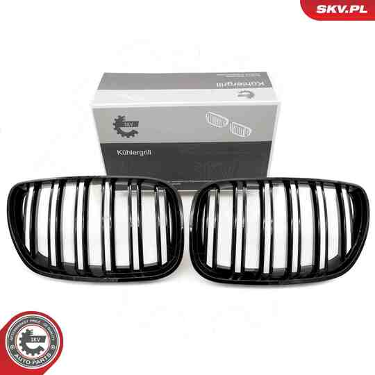 66SKV281 - Radiator Grille 