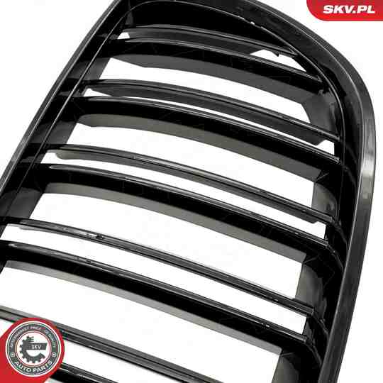 66SKV281 - Radiator Grille 