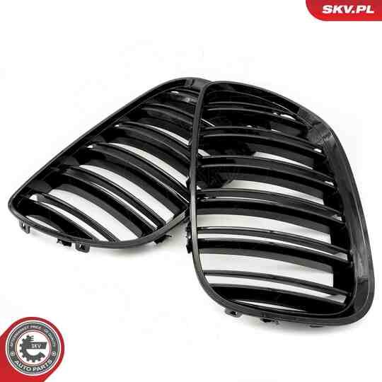 66SKV281 - Radiator Grille 