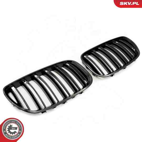 66SKV281 - Radiator Grille 