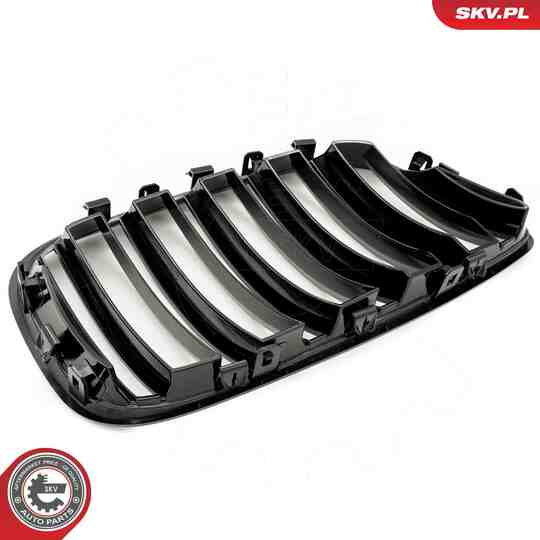 66SKV281 - Radiator Grille 