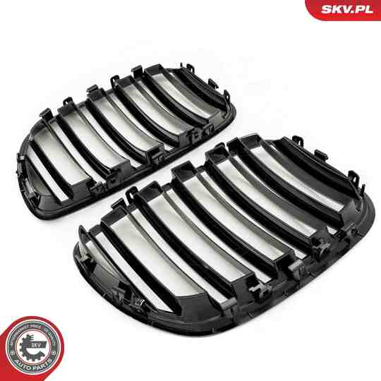 66SKV281 - Radiator Grille 