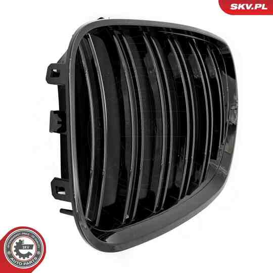 66SKV281 - Radiator Grille 