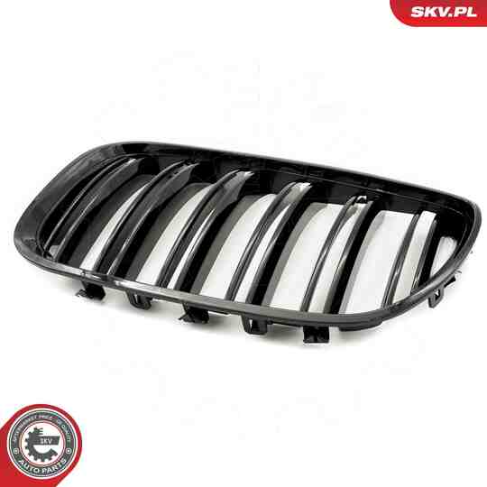 66SKV281 - Radiator Grille 