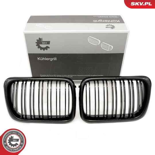 66SKV054 - Radiator Grille 