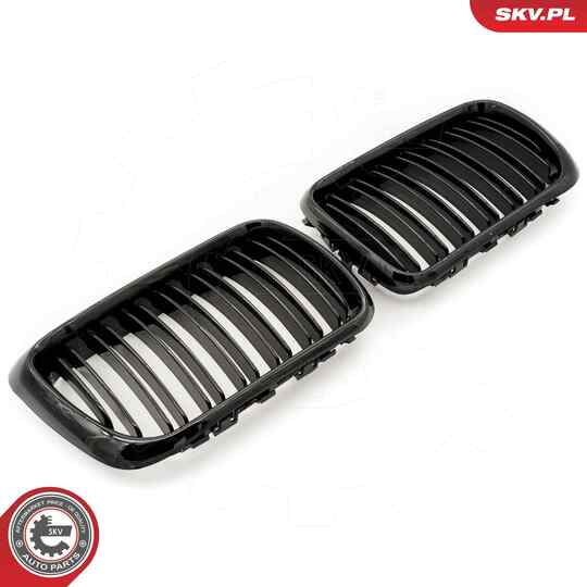 66SKV054 - Radiator Grille 