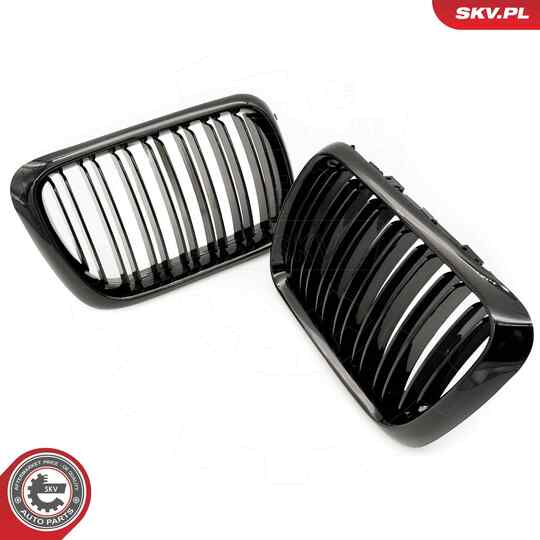 66SKV054 - Radiator Grille 